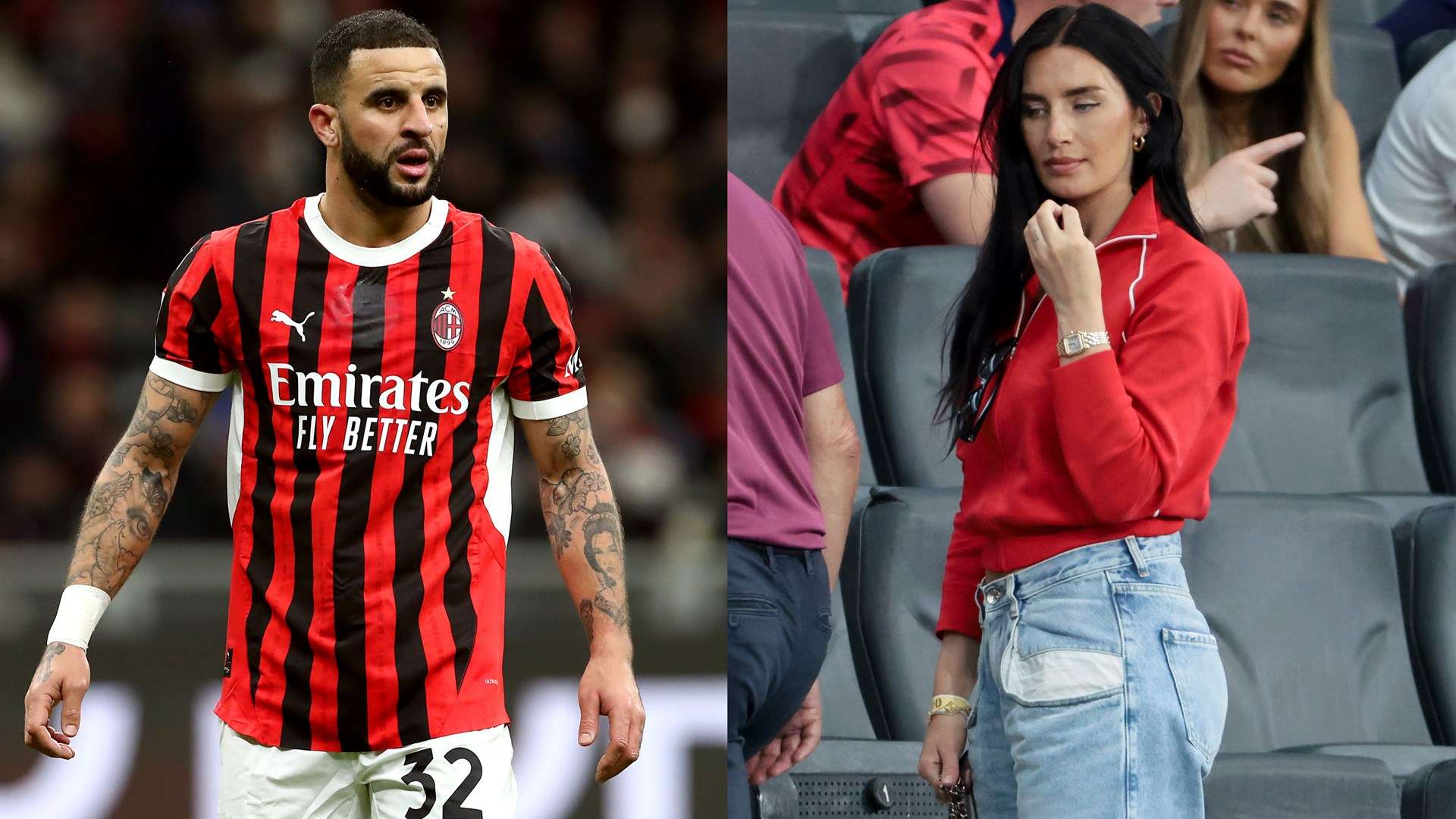 的双重绽放 的双重绽放